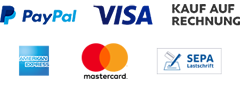 PayPal Plus, Visa, Mastercard, American Express, Lastschrift, Rechnung